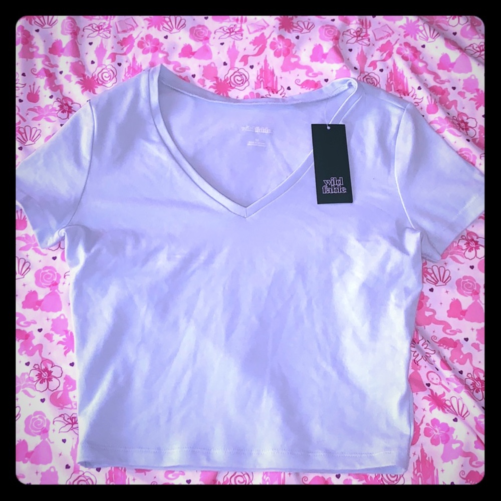 NWT Wild Fable M Baby Blue Crop Top T-shirt